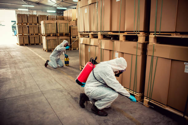 Best Residential Pest Control  in Rhome, TX