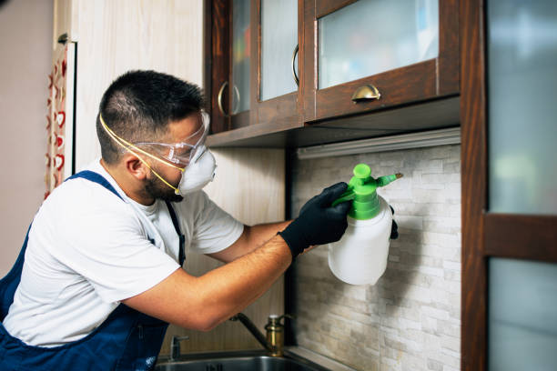 Best Pest Control Near Me  in Rhome, TX