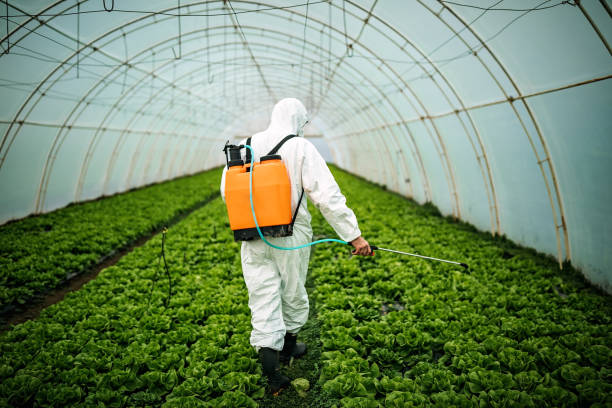 Best Affordable Pest Control Services  in Rhome, TX
