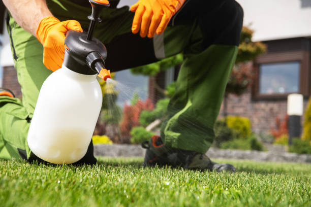 Best Pest Removal Services  in Rhome, TX