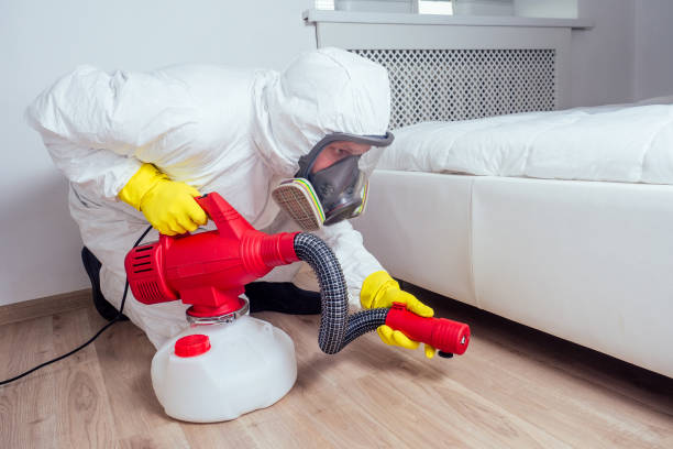 Best Pest Control Near Me  in Rhome, TX