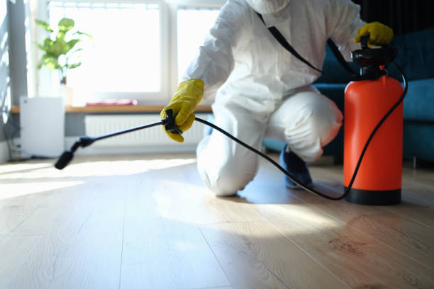 Flea Control Services in Rhome, TX