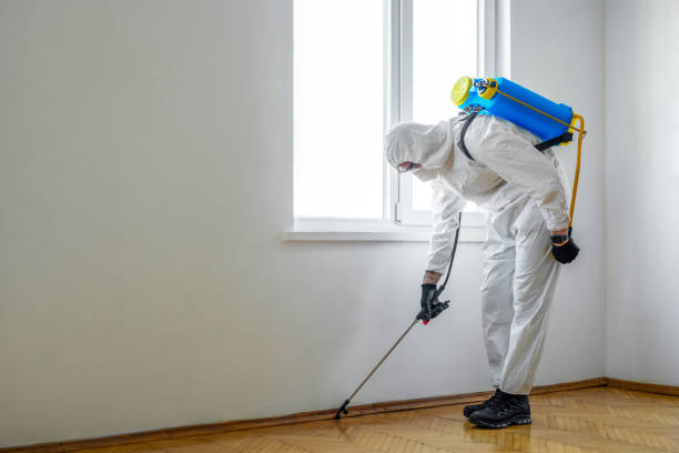 Best Pest Control for Restaurants  in Rhome, TX