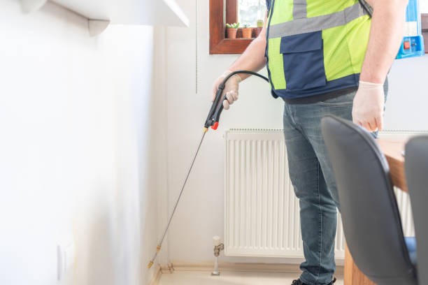 Best Termite Control Services  in Rhome, TX