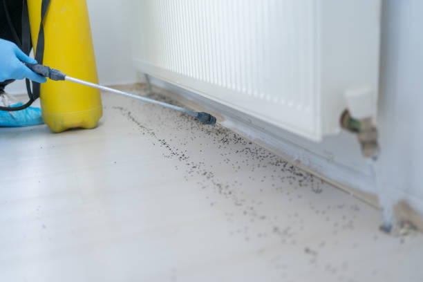 Best Exterminator Services  in Rhome, TX